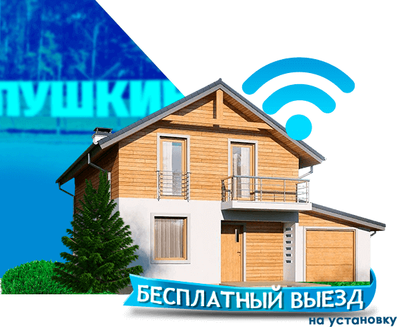 Высокоскоростной интернет в дом в Пушкинском районе